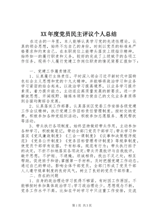XX年度党员民主评议个人总结