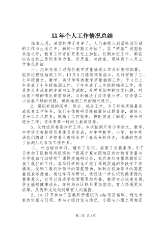 XX年个人工作情况总结