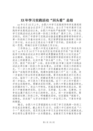 XX年学习实践活动“回头看”总结