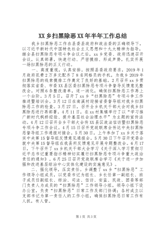 XX乡扫黑除恶XX年半年工作总结