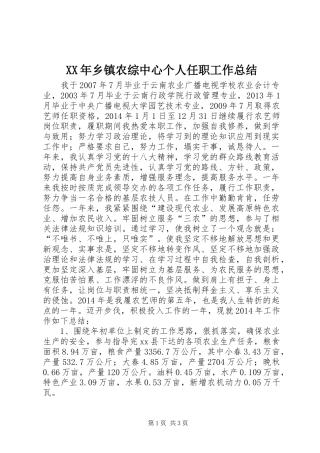XX年乡镇农综中心个人任职工作总结
