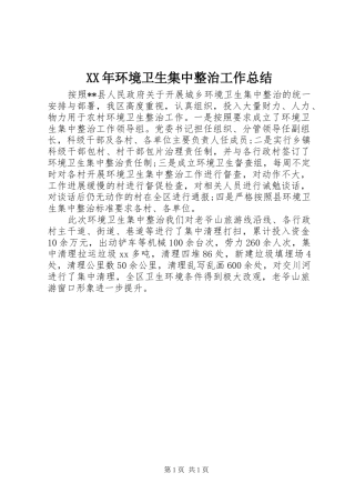 XX年环境卫生集中整治工作总结