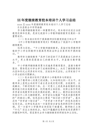 XX年度继续教育校本培训个人学习总结