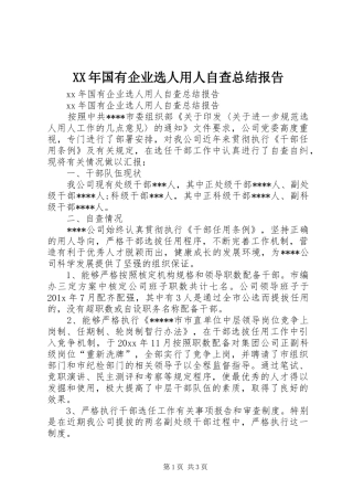 XX年国有企业选人用人自查总结报告