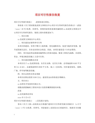 项目可行性报告批复 