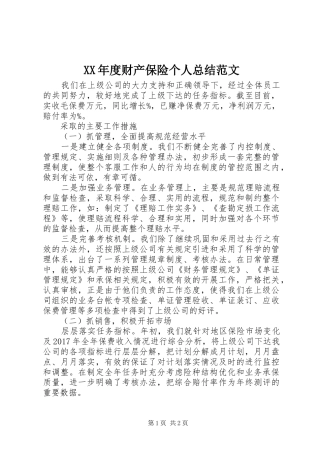 XX年度财产保险个人总结范文