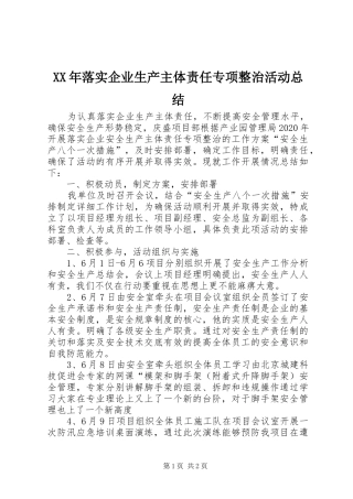 XX年落实企业生产主体责任专项整治活动总结