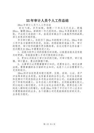 XX年审计人员个人工作总结