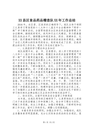 XX县区食品药品稽查队XX年工作总结