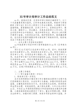 XX年审计局审计工作总结范文
