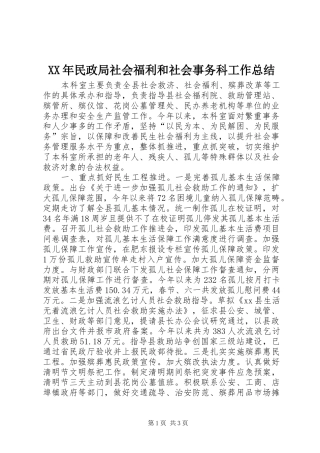 XX年民政局社会福利和社会事务科工作总结