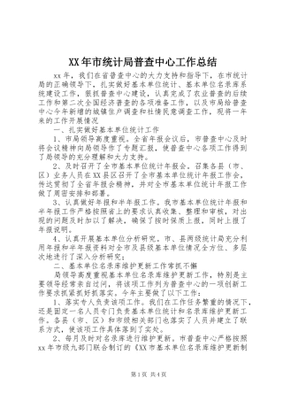 XX年市统计局普查中心工作总结