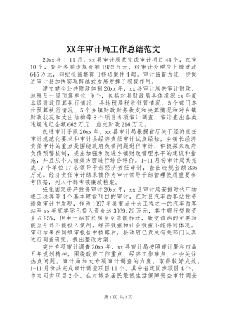 XX年审计局工作总结范文
