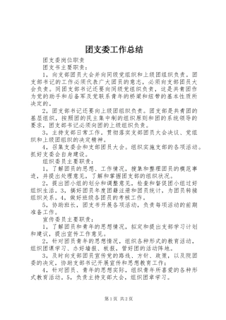 团支委工作总结 