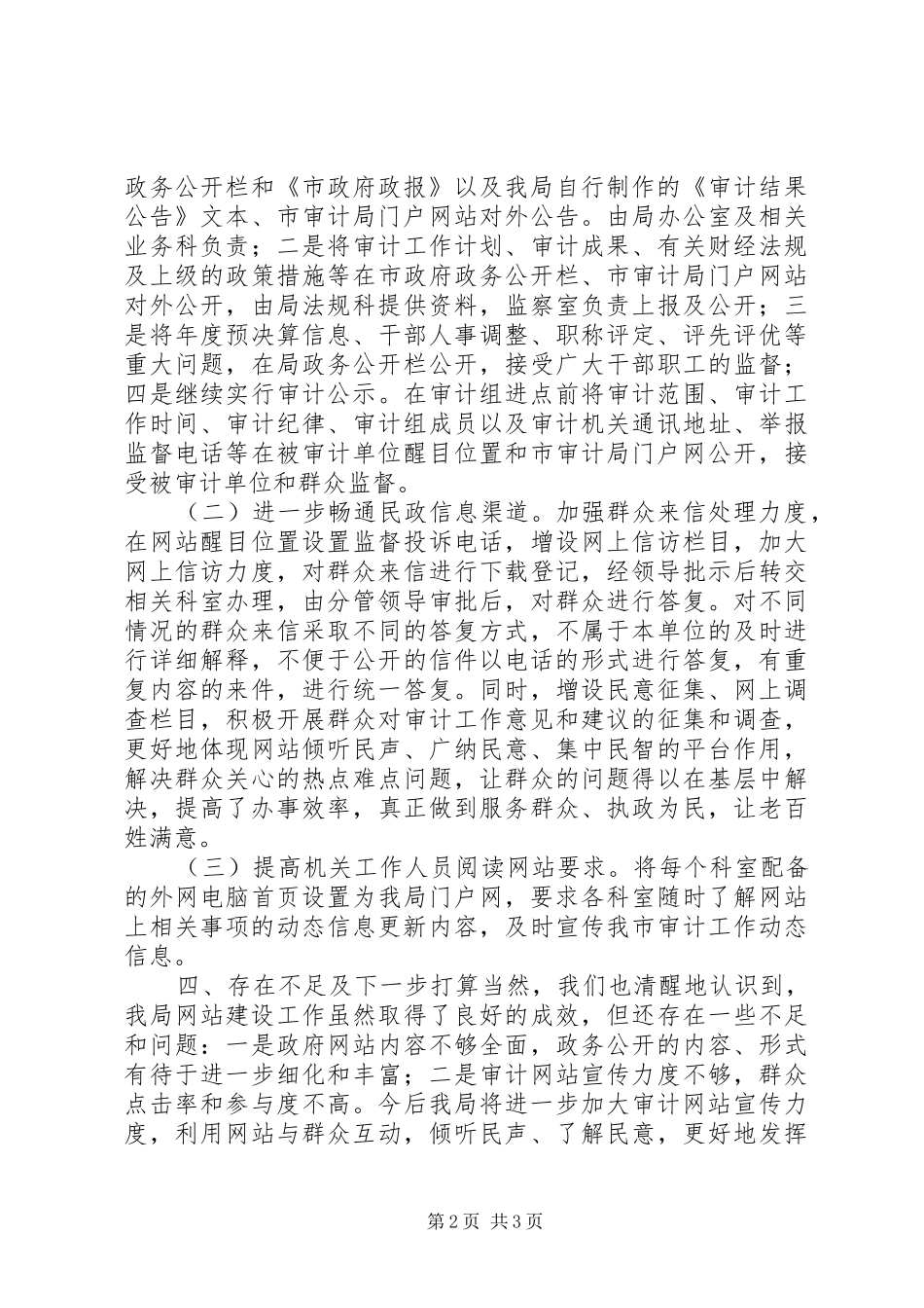 XX年市审计局网站建设工作总结_第2页