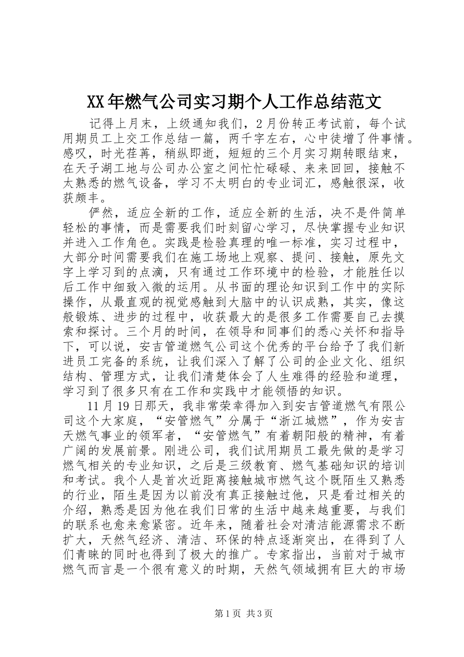 XX年燃气公司实习期个人工作总结范文_第1页