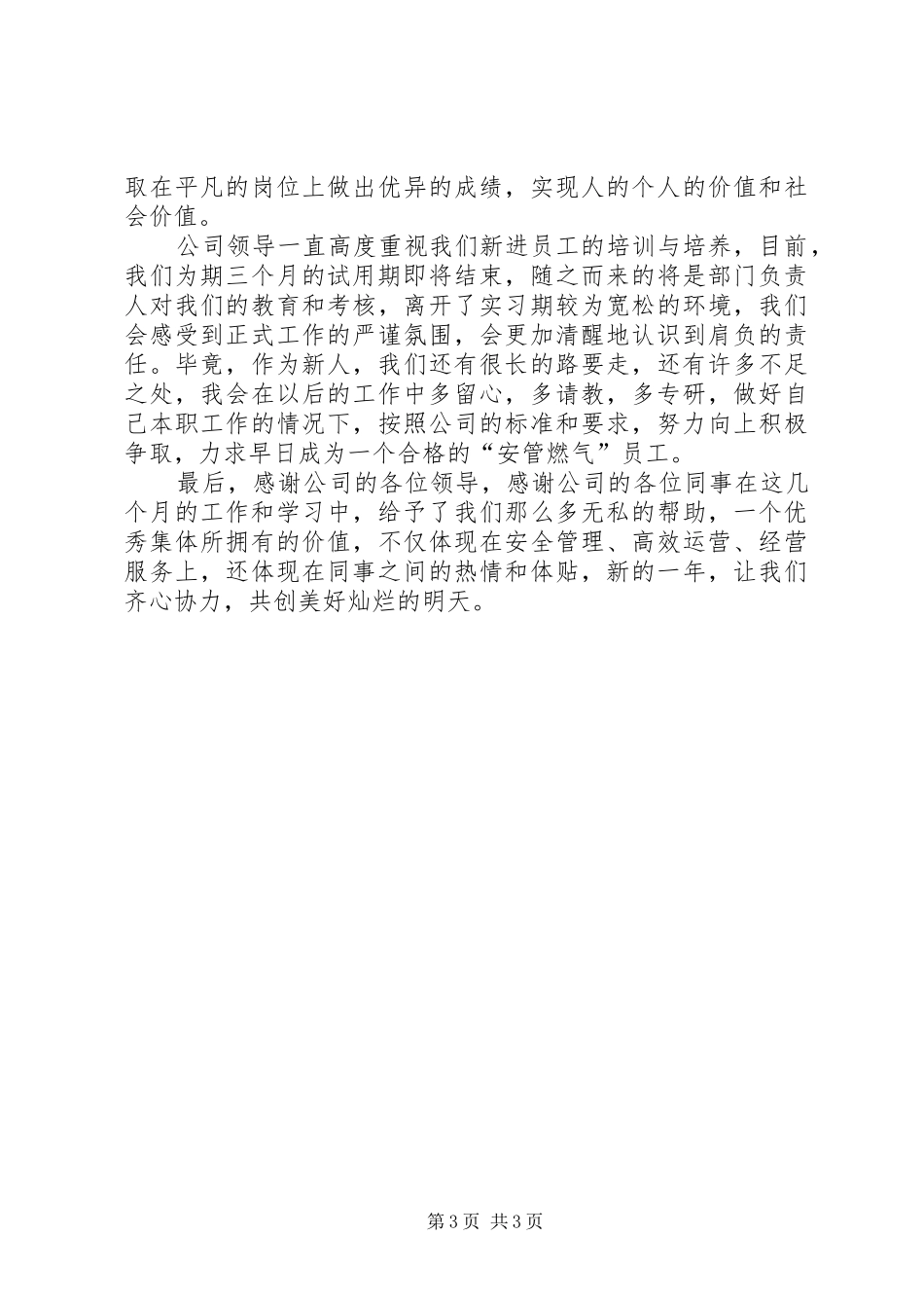 XX年燃气公司实习期个人工作总结范文_第3页