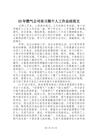 XX年燃气公司实习期个人工作总结范文