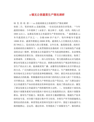 x镇无公害蔬菜生产情况调研 