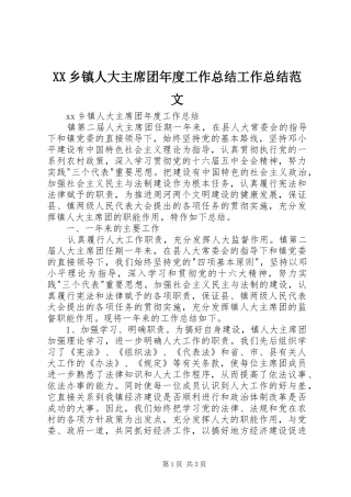 XX乡镇人大主席团年度工作总结工作总结范文