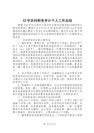 XX年农村财务审计个人工作总结