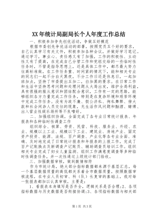 XX年统计局副局长个人年度工作总结