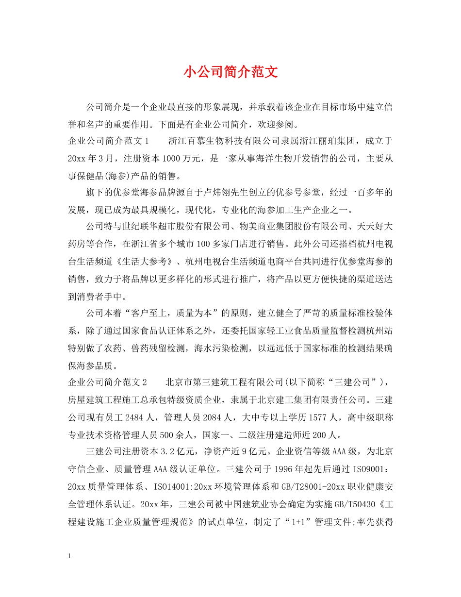 小公司简介范文 _第1页
