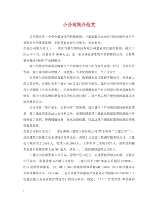 小公司简介范文 