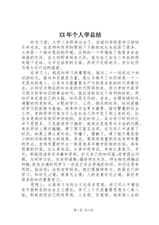 XX年个人学总结