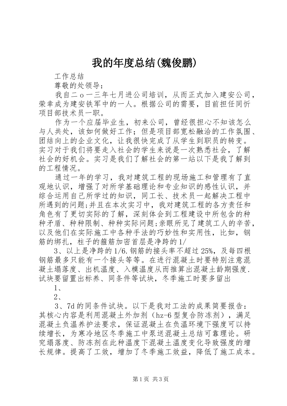 我的年度总结(魏俊鹏) _第1页