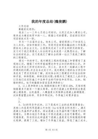 我的年度总结(魏俊鹏) 