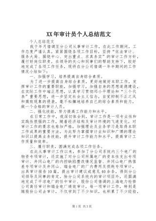 XX年审计员个人总结范文