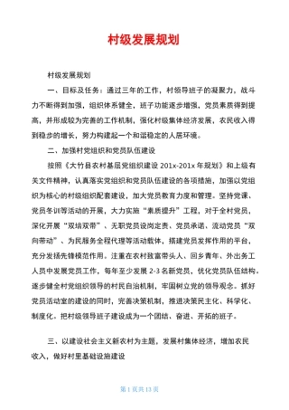 村级发展规划
