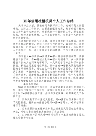 XX年信用社稽核员个人工作总结