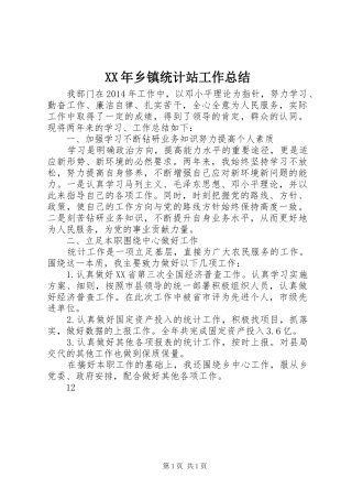 XX年乡镇统计站工作总结