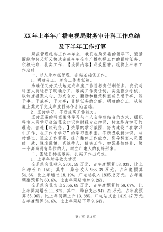 XX年上半年广播电视局财务审计科工作总结及下半年工作打算