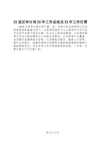 XX县区审计局XX年工作总结及XX年工作打算
