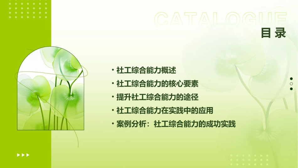 社工综合能力(初级789)课件_第2页