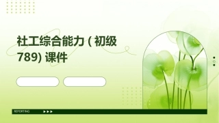 社工综合能力(初级789)课件
