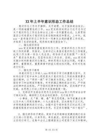 XX年上半年意识形态工作总结 (11)