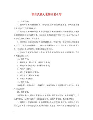 项目负责人承诺书怎么写 