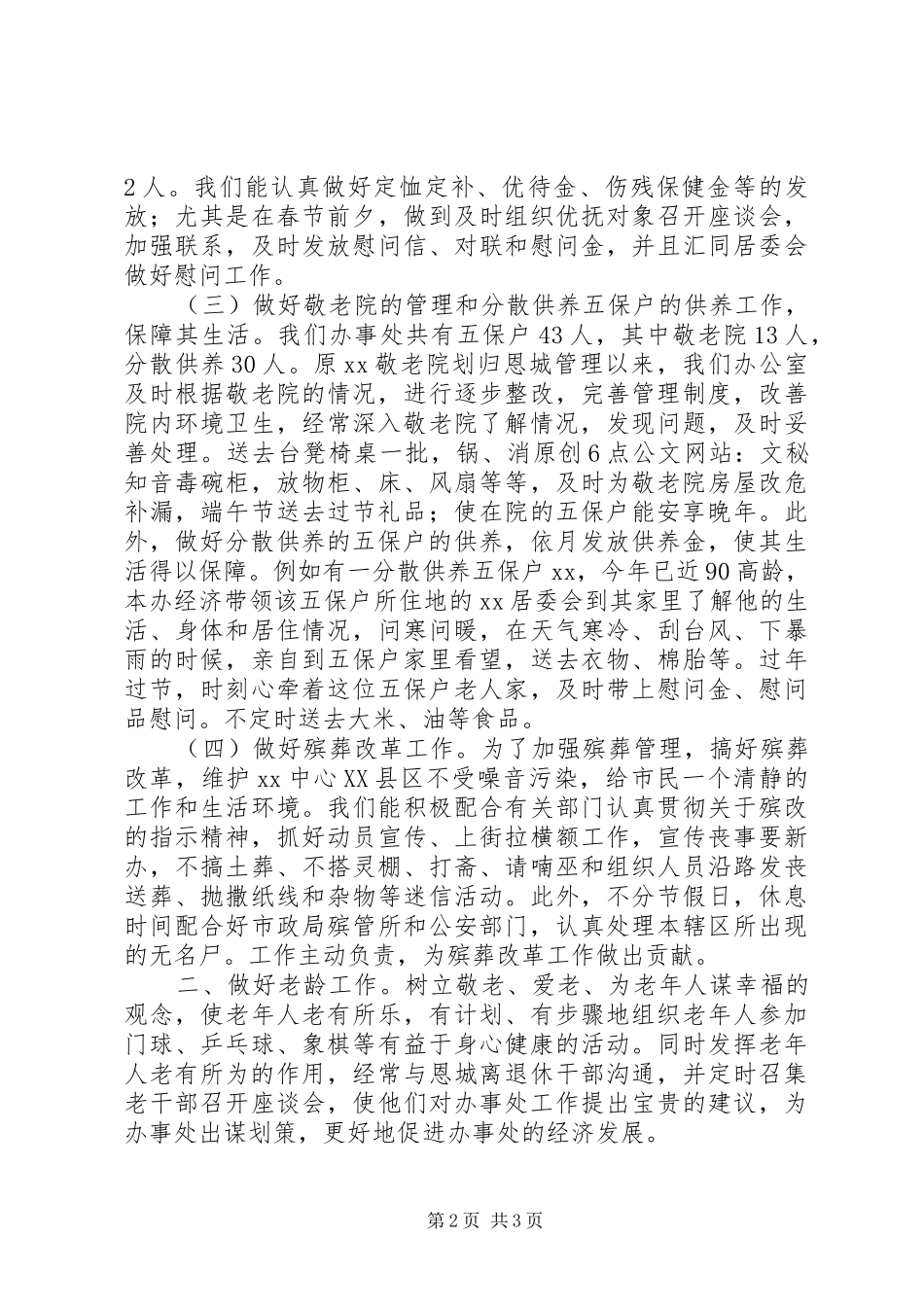 XX社会事务办工作总结标准版_第2页