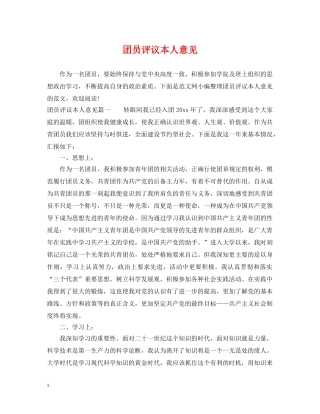 团员评议本人意见 