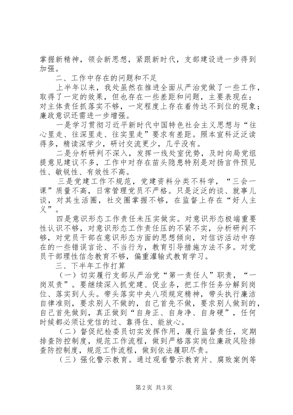 XX年全面落实从严治党主体责任工作总结_第2页