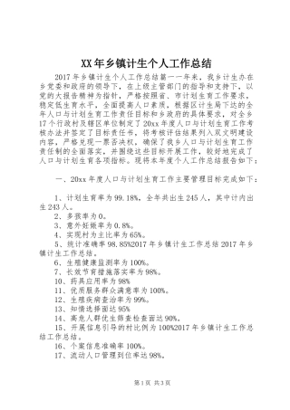 XX年乡镇计生个人工作总结