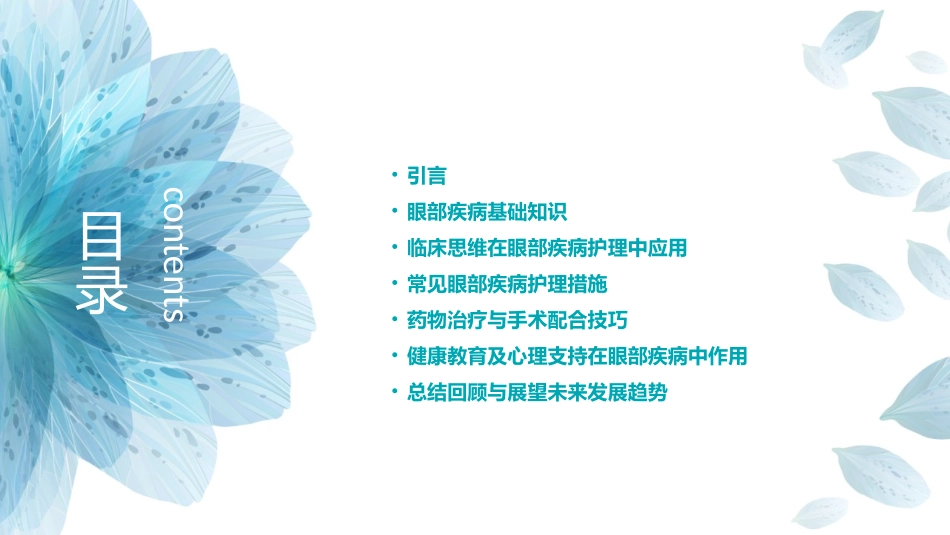 临床思维教学眼部疾病护理课件_第2页