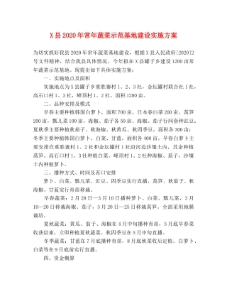 X县2024年常年蔬菜示范基地建设实施方案 