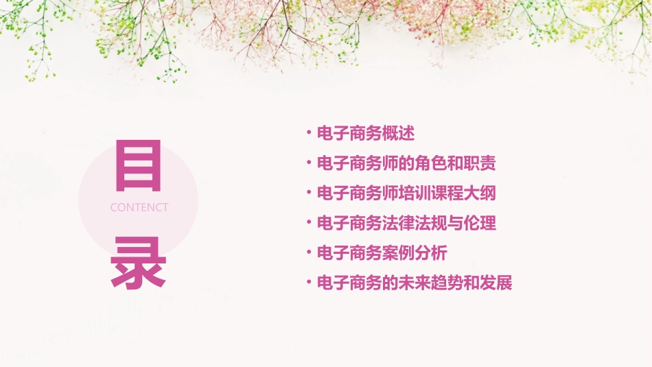电子商务师培训课程导论课件_第2页