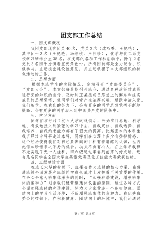 团支部工作总结 (21)