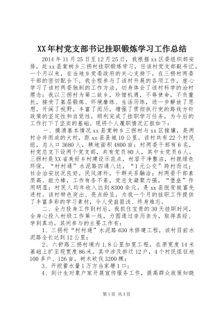 XX年村党支部书记挂职锻炼学习工作总结